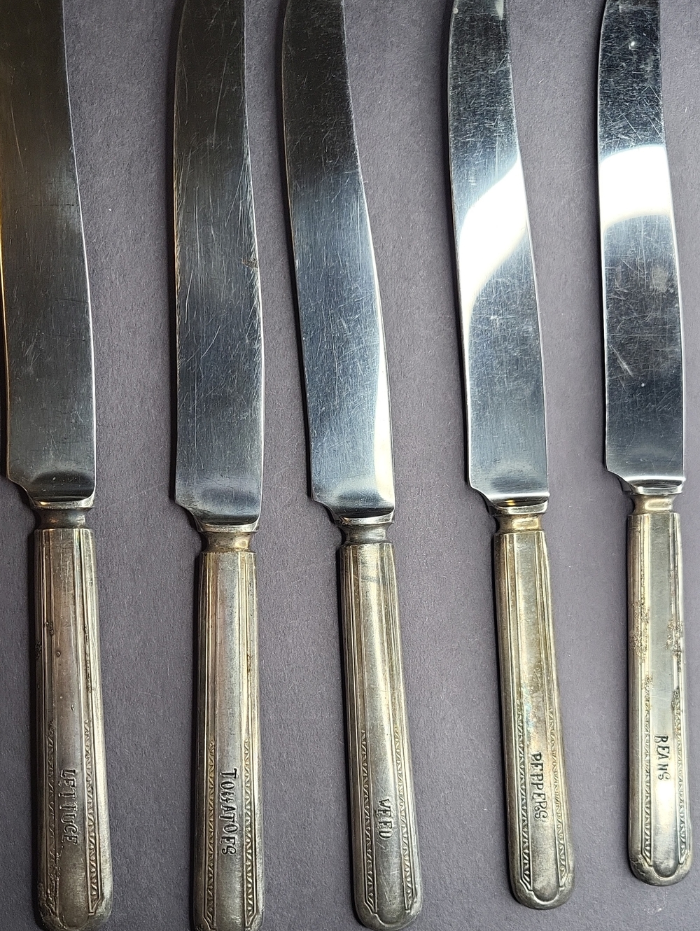 Vintage Silver-Plated Dinner Knife Set